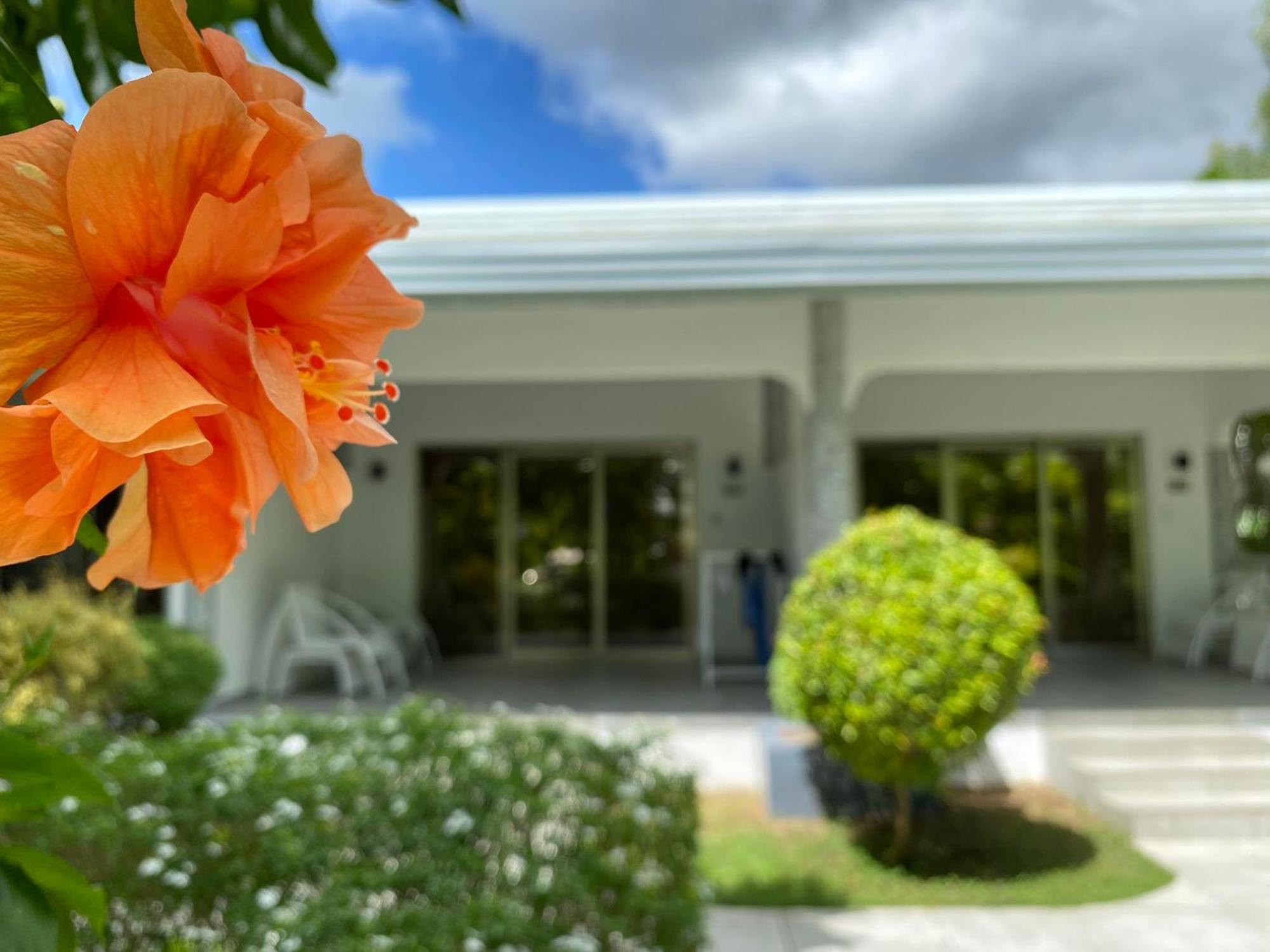 Marina Point Bay Resort Panglao Zewnętrze zdjęcie