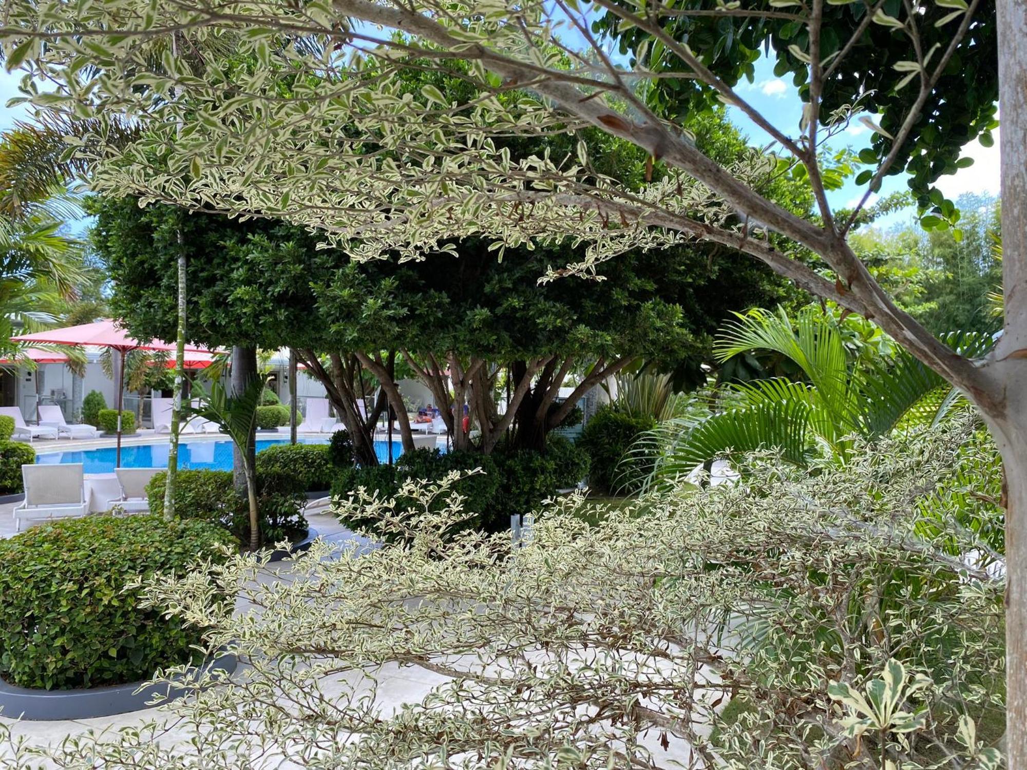 Marina Point Bay Resort Panglao Zewnętrze zdjęcie